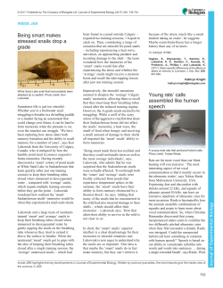 High and dry oysters at most risk from climate change