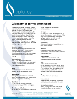 Glossary of terms often used