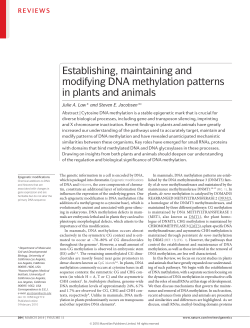Establishing, maintaining and modifying DNA methylation patterns