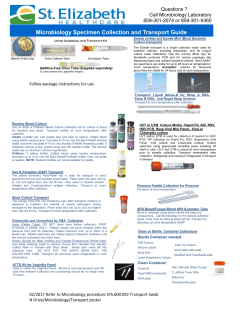 Micro and Molecular Media and Transport