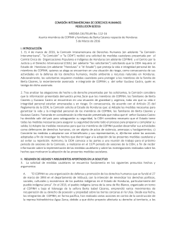 COMISI&Oacute;N INTERAMERICANA DE DERECHOS HUMANOS
