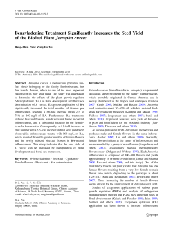 Benzyladenine Treatment Significantly Increases the Seed Yield of
