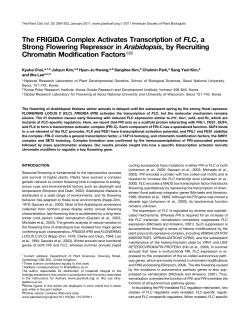 The FRIGIDA Complex Activates Transcription of