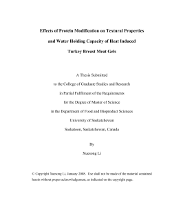 Effects of Protein Modification on Textural Properties