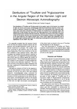 Distributions of 35S-sulfate and 3H-glucosamine in the