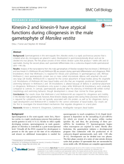 Kinesin-2 and kinesin-9 have atypical functions during ciliogenesis
