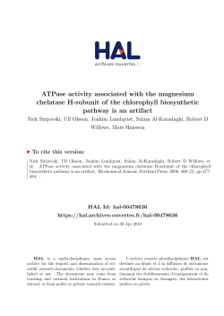 ATPase activity associated with the magnesium chelatase H