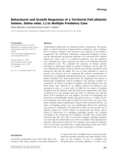 Behavioural and Growth Responses of a Territorial Fish (Atlantic