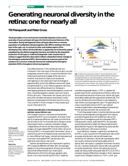 Generating neuronal diversity in the retina