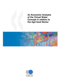 An Economic Analysis of the Virtual Water Concept in relation to