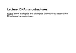 Lecture: DNA nanostructures