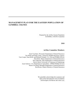 Management Plan for the Eastern Population of Sandhill Cranes