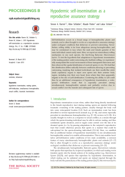 Hypodermic self-insemination as a reproductive assurance strategy