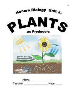 as Producers