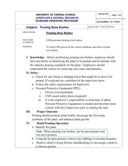 Subject: Pruning Rose Bushes Pruning Rose Bushes I