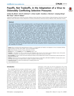 Payoffs, Not Tradeoffs, in the Adaptation of a Virus to Ostensibly