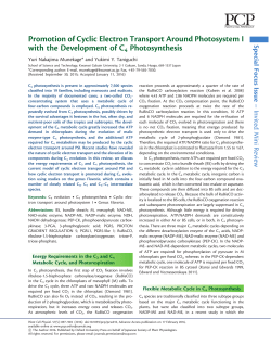 Promotion of Cyclic Electron Transport Around