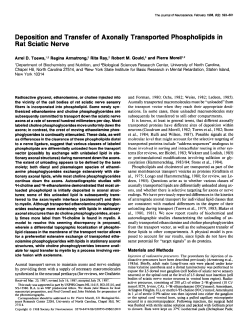 Deposition and Transfer of Axonally Transported Phospholipids in