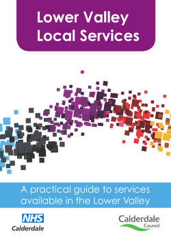 Lower Valley Local Services