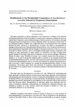 Modifications to the Phospholipid Composition of