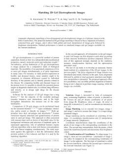 Matching 2D Gel Electrophoresis Images