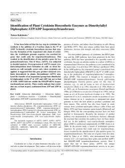 Identification of Plant Cytokinin Biosynthetic Enzymes as