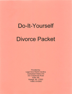 Do-It-Yourself Divorce Packet