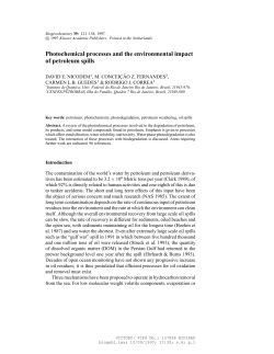 Photochemical processes and the environmental impact of