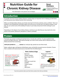 Nutrition Guide for Chronic Kidney Disease