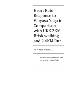 DSES FYP report (C grade)