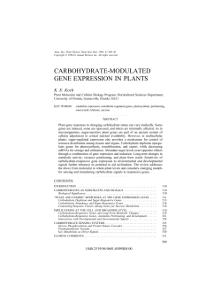 CARBOHYDRATE-MODULATED GENE EXPRESSION IN PLANTS
