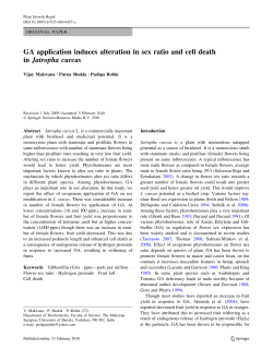 GA application induces alteration in sex ratio and cell