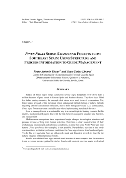 pinus nigra subsp. salzmannii forests from southeast spain