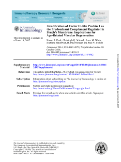 Age-Related Macular Degeneration Bruch`s Membrane: Implications