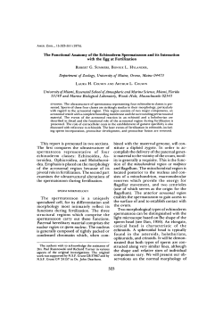 PDF - Oxford Academic