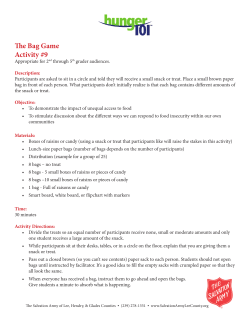 The Bag Game Activity #9 - The Salvation Army Florida