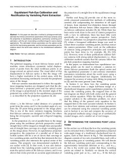 Equidistant Fish-Eye Calibration and Rectification by Vanishing