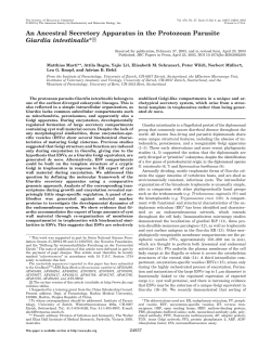 An Ancestral Secretory Apparatus in the Protozoan