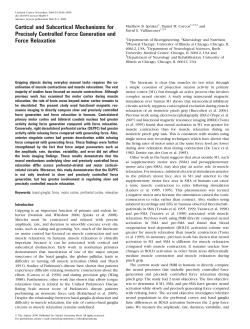 Cortical and Subcortical Mechanisms for Precisely Controlled Force