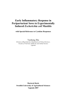 Early Inflammatory Response in Periparturient Sows to
