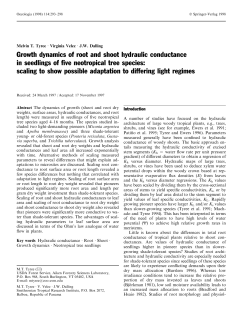 Growth dynamics of root and shoot hydraulic