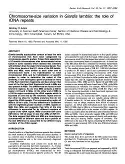 Chromosome-size variation in Giardia Iambiia: the role of rDNA