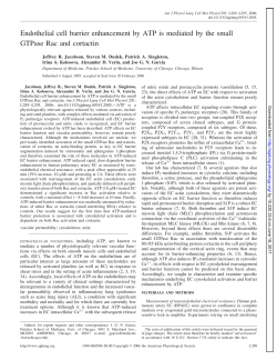 Endothelial cell barrier enhancement by ATP is - AJP-Lung