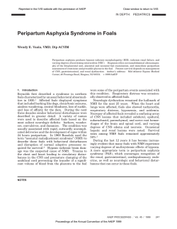 Peripartum Asphyxia Syndrome in Foals