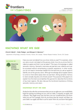 Figure 2 - Frontiers