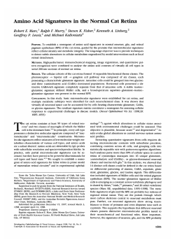 Amino Acid Signatures in the Normal Cat Retina
