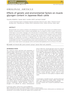 Effects of genetic and environmental factors on muscle glycogen
