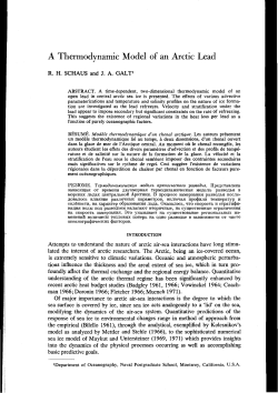 A Thermodynamic Model of an Arctic Lead
