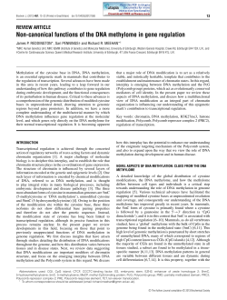 Non-canonical functions of the DNA methylome in gene regulation