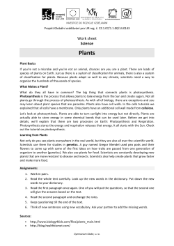 Plants